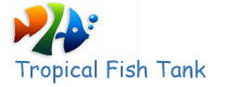 Tropical Fish Tanks